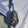 Автоматическая 4-х местная палатка для кемпинга Avi-Outdoor Suoma 4 (AV-5895)