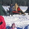 Safir at the snow.jpg